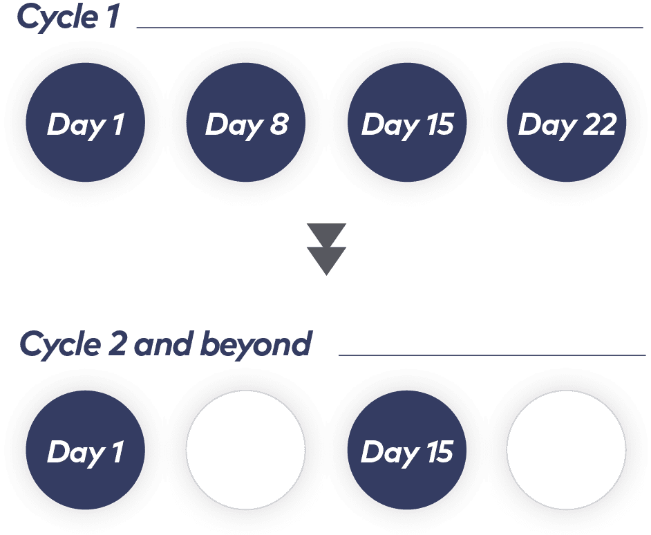 A figure representing the 28-day treatment cycles of SARCLISA: cycle 1, days 1, 8, 15, and 22; cycle 2 and beyond,
                        days 1 and 15.
