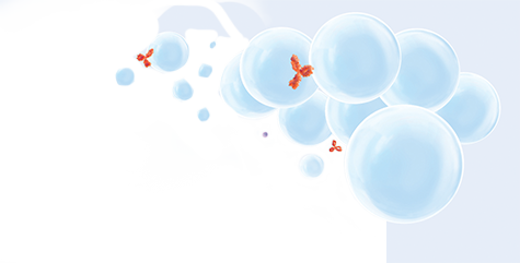sarclisa